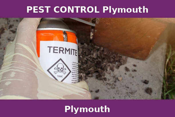 PEST CONTROL Plymouth